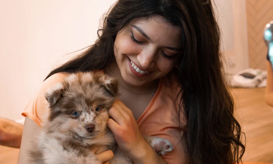 Image 4: Indulge in a 1 Hour Puppy Yoga Class for a Child or Adult