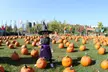 Halloween BooFest: 4 Admissions, Exciting Ride Bands and Unlimited Halloween Fun at Wizard World Toronto - Second Medium