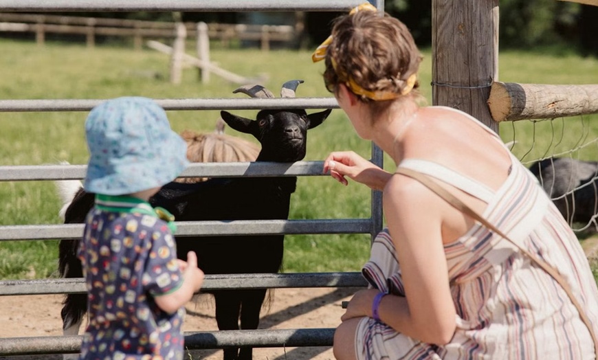 Image 3: This Halloween & Christmas Peak Time Farm and Soft Play Ticket 