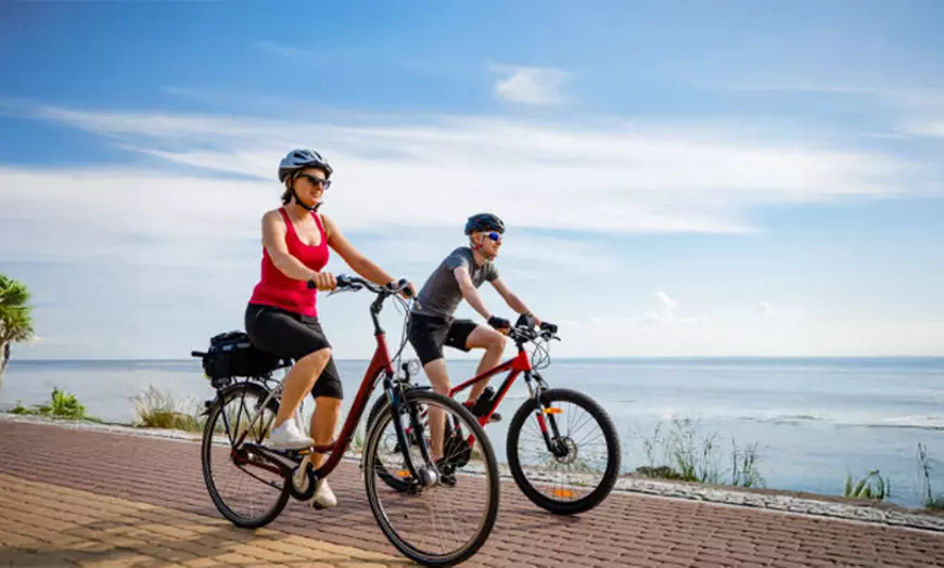 Image 1: 1, 3 o 7 días de alquiler de bici tradicional o eléctrica en Lanzarote 