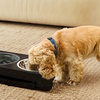 Image 7: Skylos Smart Pet Feeding Solutions