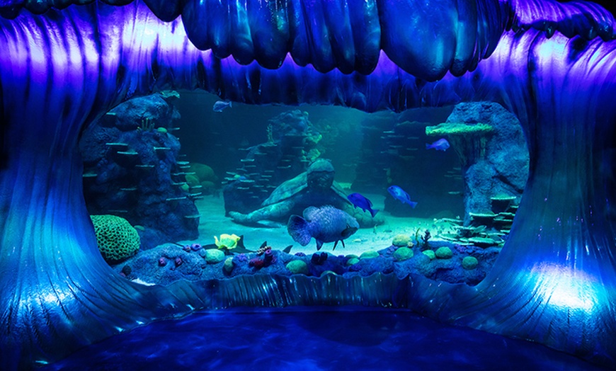 Image 2: Learn About 13,000+ Animals & 14 Themed Zones at Darling Harbour