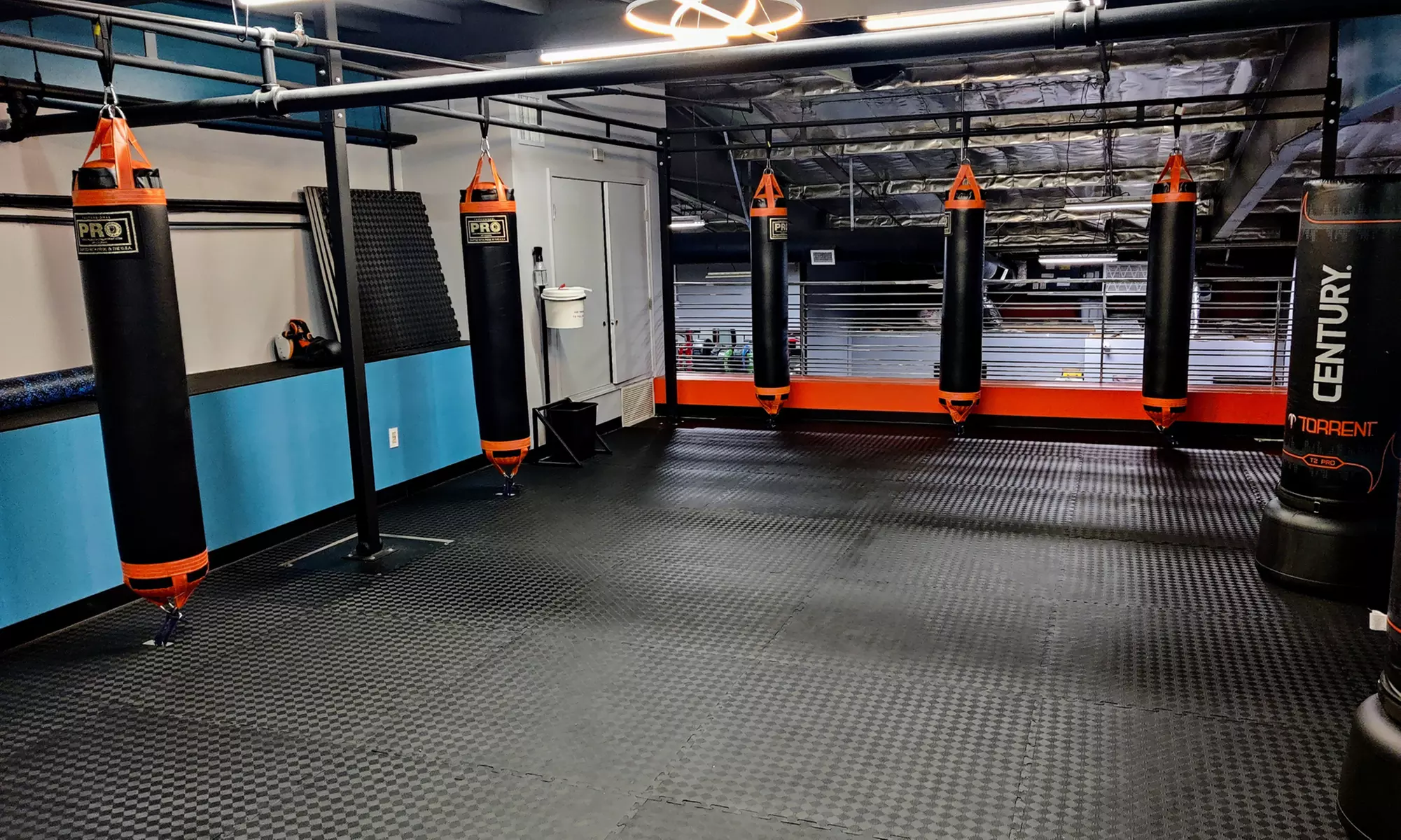 Transform w/ Holistic Fitness Program/ Martial Arts/Kickboxing Program