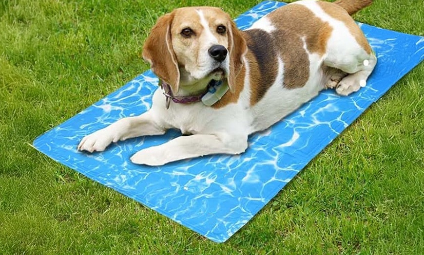 Image 1: Kühlmatte für Haustiere