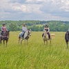 Image 1: Experience Horseback Trail Rides in Northern Virginia's Horse Country