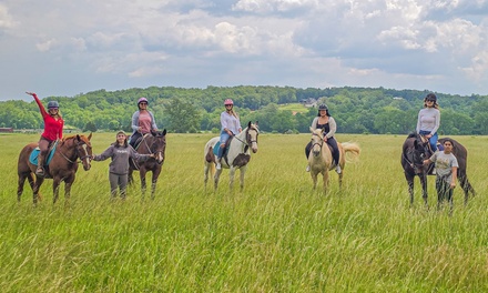 90 Minute Trail Ride for 1 - River Chase Farm - Aldie, Virginia