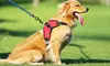 Dog Harness No Pull with Handle Reflective Vest Harness Dogs in Training