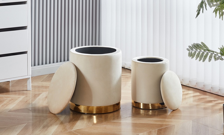 Image 2: Coppia di pouf contenitori in velluto