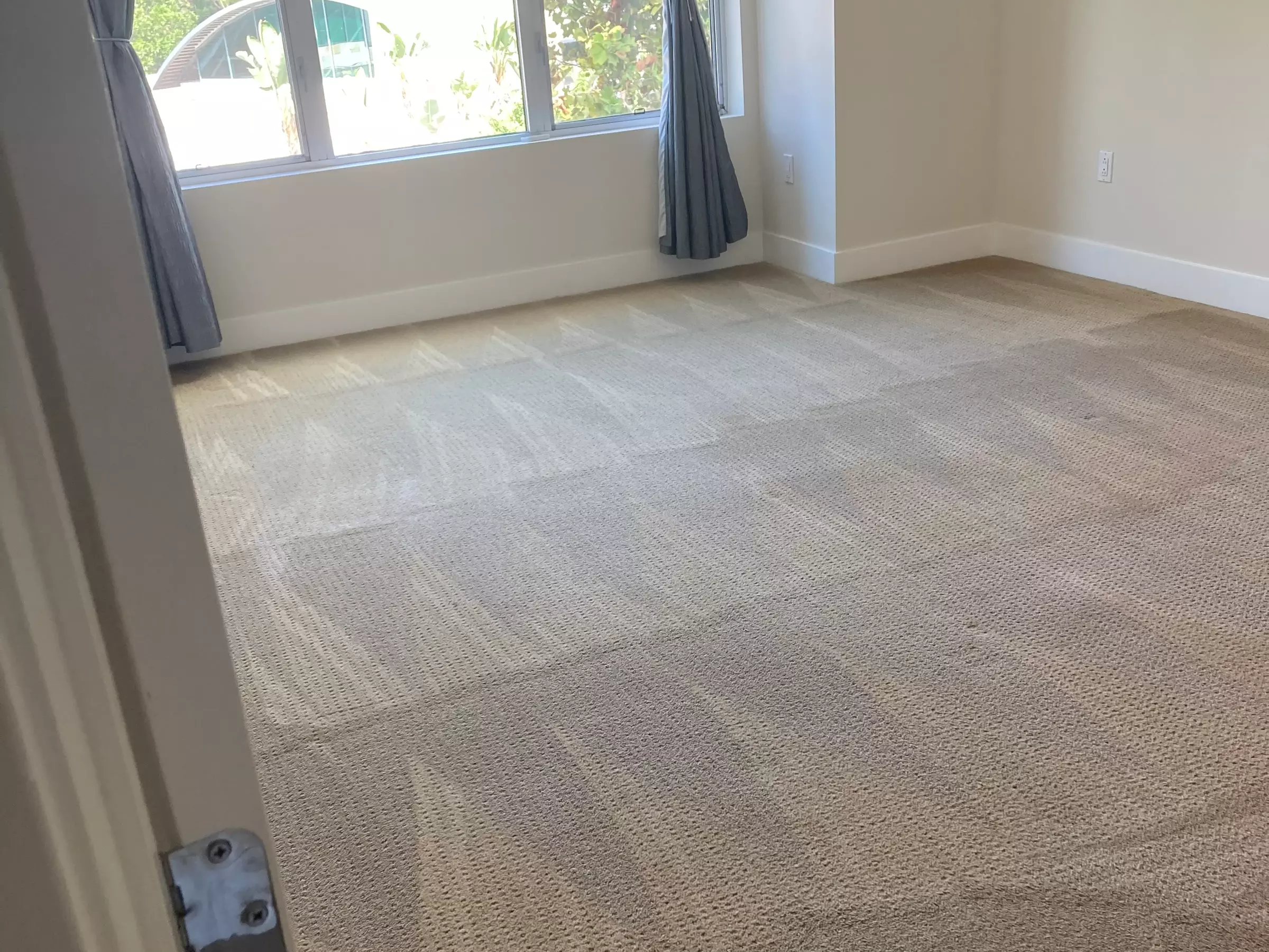 Carpet and Area Rug Cleaning Packages