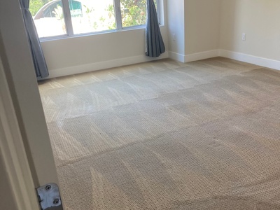 Carpet Cleaning for Three Rooms Up to 600 Square Feet Total with Scotchguard Protection - Saddleback Valley Clean-Dry