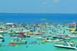 Experience Morning or Afternoon Boat Ride / Cruise to Crab Island by Go with the Flow Charters (Up to 22% Off) - Second Medium