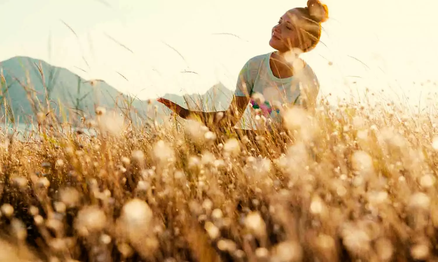 Devenez expert en naturopathie en 6 ou 12 mois avec Danslabox