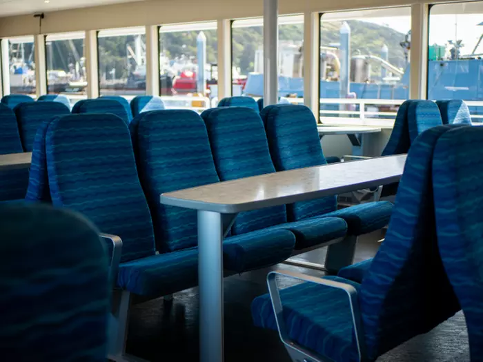 3-3.5 Hour Guaranteed Whale Watch Tour with Island Adventures