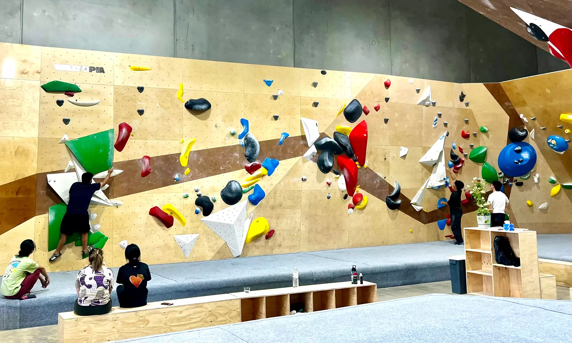 All-Day Bouldering Experience and Fun with Shoe & Chalk Hire Included