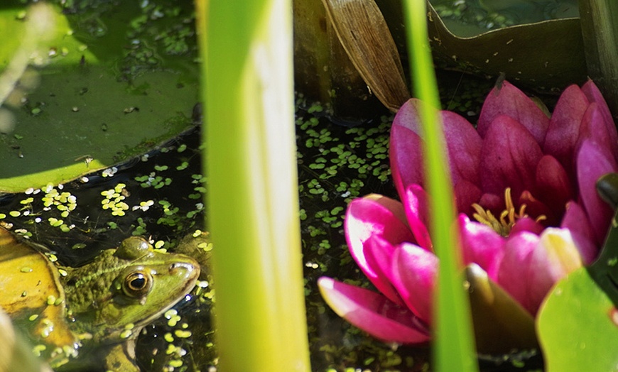 Image 4: Tageskarte für den Tierpark Leintalzoo für 2 Pers. / eine Kleingruppe