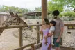 FLASH SALE! Embark on an Exhilarating Wildlife Adventure at San Antonio Zoo for 2 - 6 People - Up to 64% Off! - Second Medium