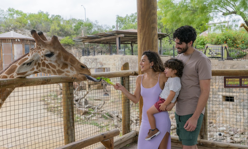 Image 1: FLASH SALE! Exhilarating Wildlife Adventure at San Antonio Zoo!