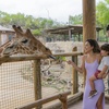 Image 3: FLASH SALE! Exhilarating Wildlife Adventure at San Antonio Zoo!