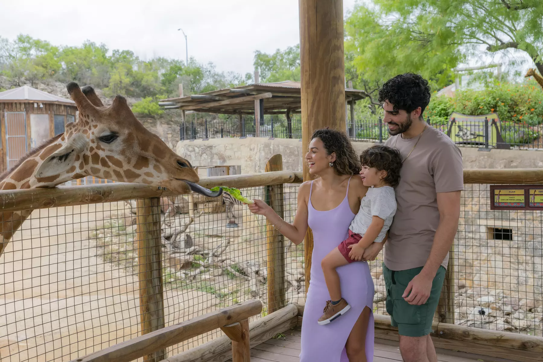 San Antonio Zoo Discount Tickets & Savings!