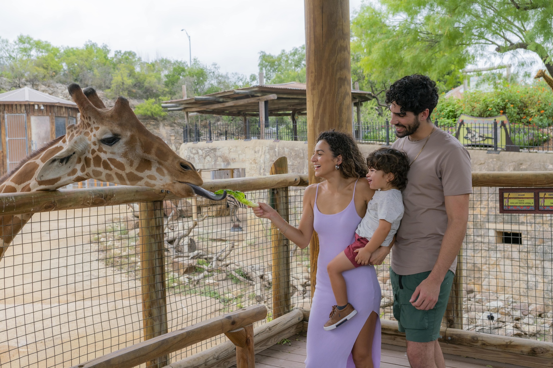 FLASH SALE! Exhilarating Wildlife Adventure at San Antonio Zoo!