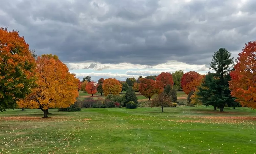 18-Hole Golf Round with Cart – Fremont