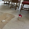 Image 1: Hand-Cleaned Tile & Grout Deep Cleaning – Up to 100, 200 or 400 Sq Ft