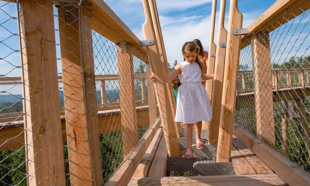 Elevated Treetop Walk & Viewing Tower – Panoramic Wicklow Views