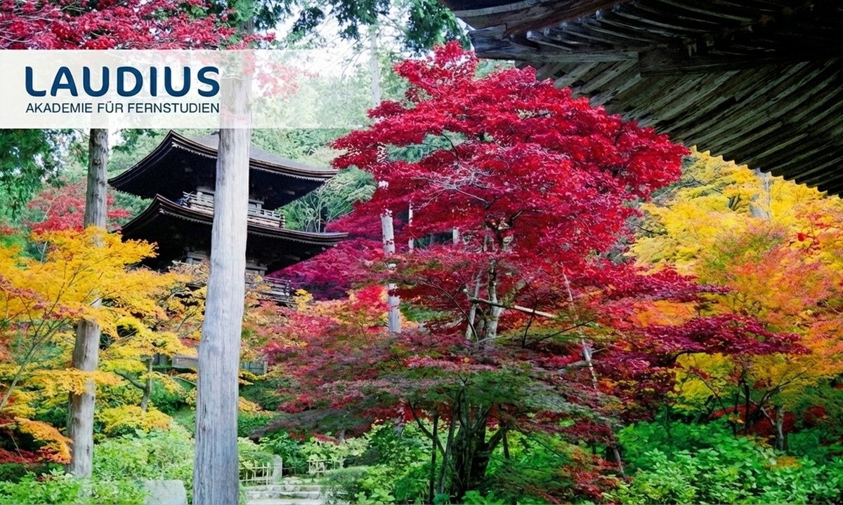 Japanisch für Anfänger A1 Fernkurs