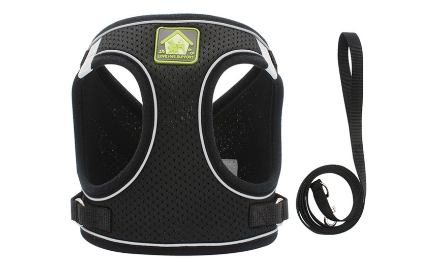 Image 9: Breathable Mesh Step-In Harness and Leash Set for Small Dogs