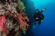 Bereit die Unterwasserwelt zu entdecken? Open-Water-Diver- o. Nitrox-Kurs inkl. Tauchausrüstung (bis 55% sparen) - Second Medium