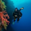 Image 5: Entdecke die Unterwasserwelt: Open-Water-Diver- oder Nitrox-Kurs