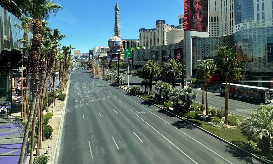 Image 10:  Limo Bus Sightseeing Tour for 2,4,or 8 People with Scenic Photo Stops