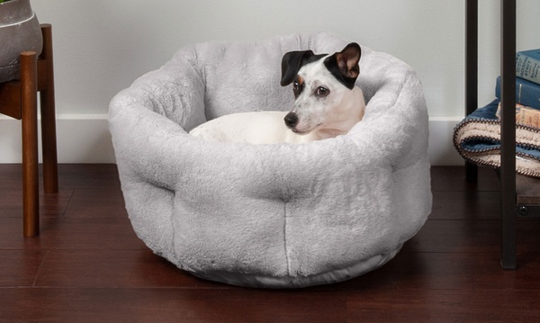 Groupon dog outlet beds