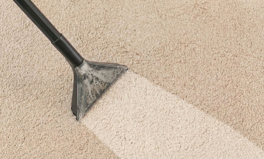 Image 2: Deep Carpet or Upholstery Cleaning with Eco-Friendly Techniques