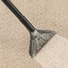 Image 2: Deep Carpet or Upholstery Cleaning with Eco-Friendly Techniques