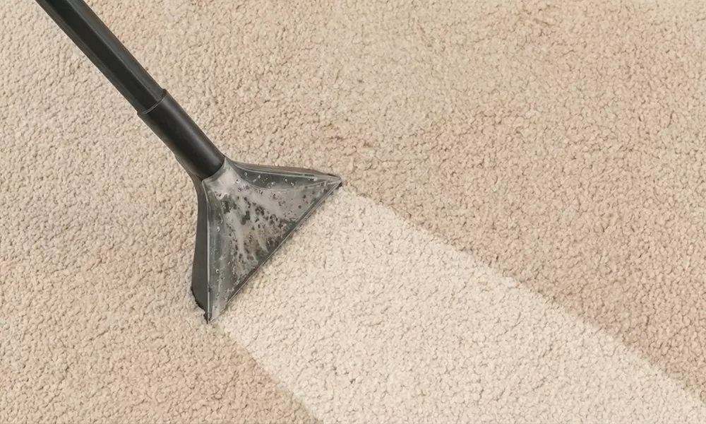 Deep Carpet or Upholstery Cleaning with Eco-Friendly Techniques