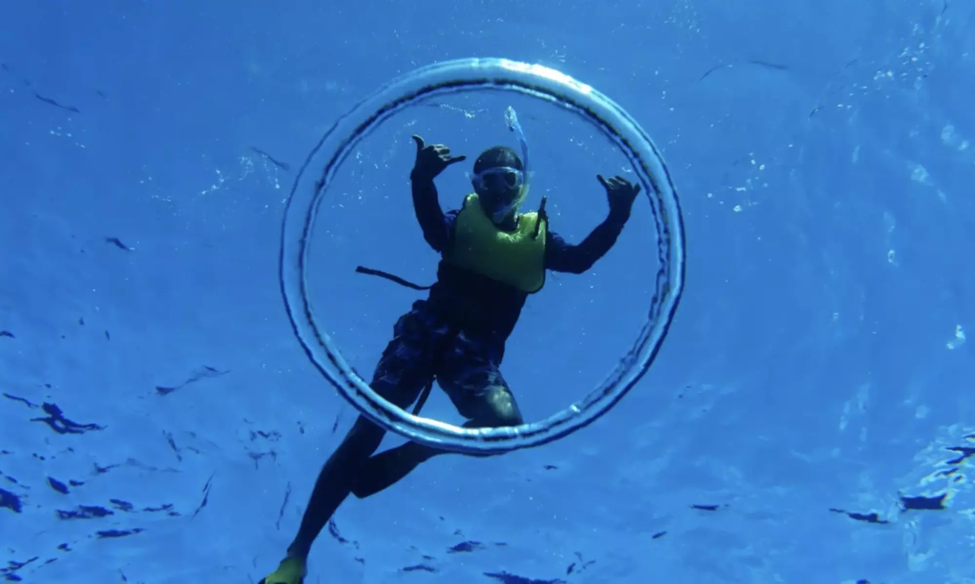 3-Hours Oahu Ocean Adventure w/ Dolphins, Turtles & Water Activities