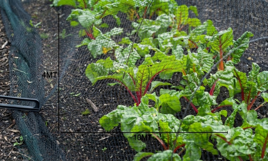 Image 7: Rotolo rete antigrandine