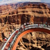 Image 1: Explore the Grand Canyon West Rim w/ Skywalk Ticket for 1, or 2