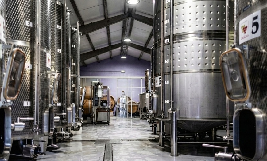 Image 2: Visita guiada a Bodega Monasterio de Corias con cata y productos IGP