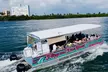 Unforgettable Clearwater Dolphin Tour & Adventure or Sunset Cruise & Sightseeing (Up to 21% Off) - Second Medium