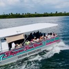 Image 2: Unforgettable Clearwater Dolphin Tour & Adventure or Sunset Cruise & Sightseeing (Up to 21% Off)