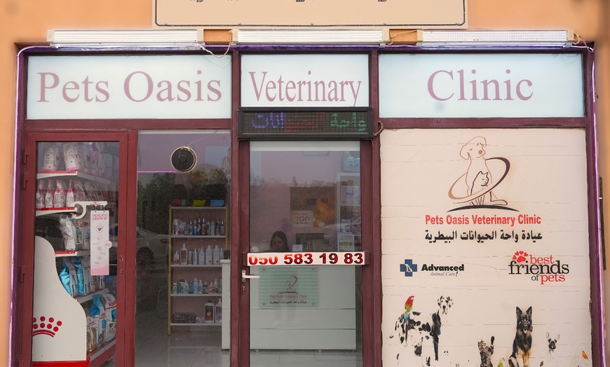 Image 10: Dental Care for Cats or Dogs
