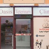 Image 10: Dental Care for Cats or Dogs
