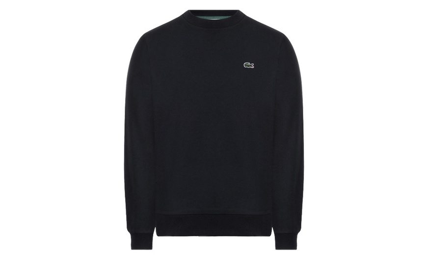 Image 6: Felpa girocollo con logo Lacoste in pile di cotone