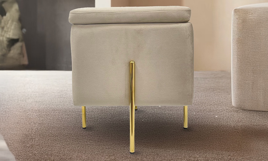 Image 11: Pouf contenitore in velluto