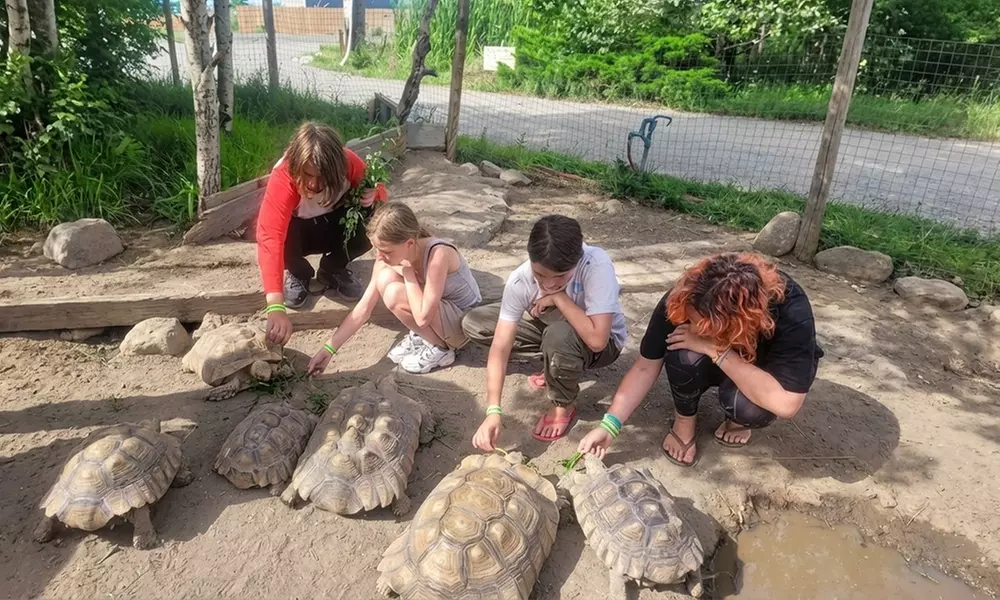 Colorado Gators Reptile Park Admissions for Adult or Children – Mosca