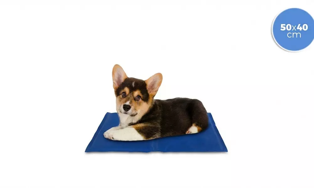 Tappetino refrigerante per cani di taglia piccola