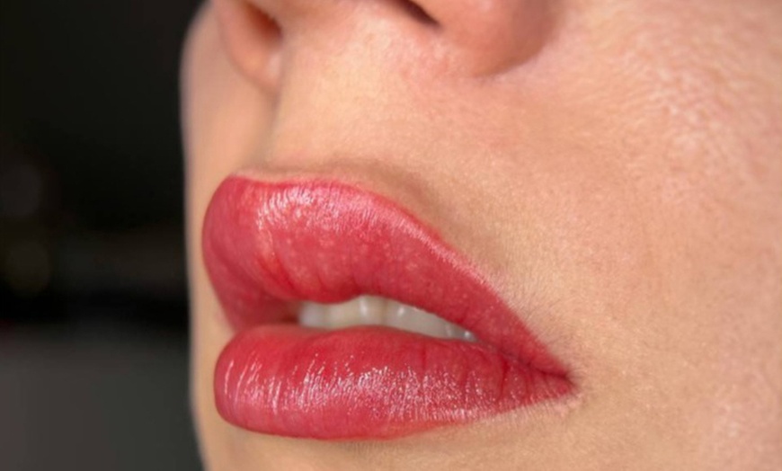 Image 6: Enhance with Permanent Powder Eyebrow or  Lip Tattoo Session