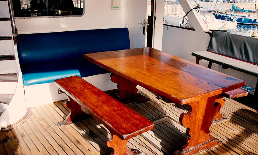 Image 9: Excursión de 4 horas en barco para avistar ballenas y delfines